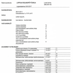 Loppukatselmuspöytäkirja